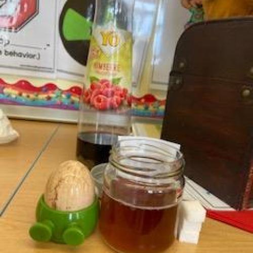 Eggxperiment