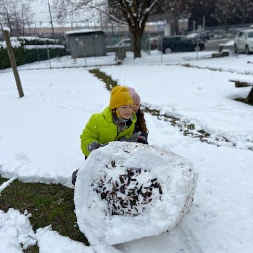 fun in the snow