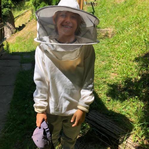 Bee