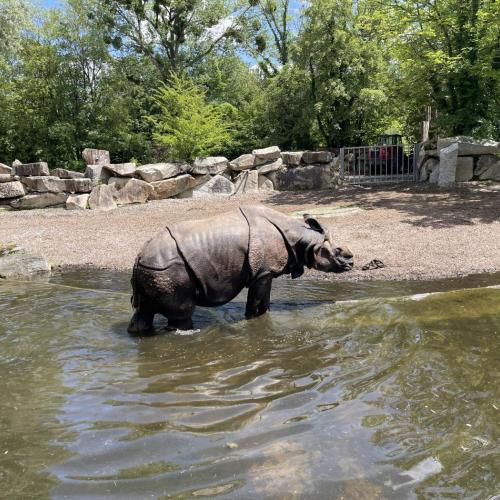 Zoo Hellabrunn