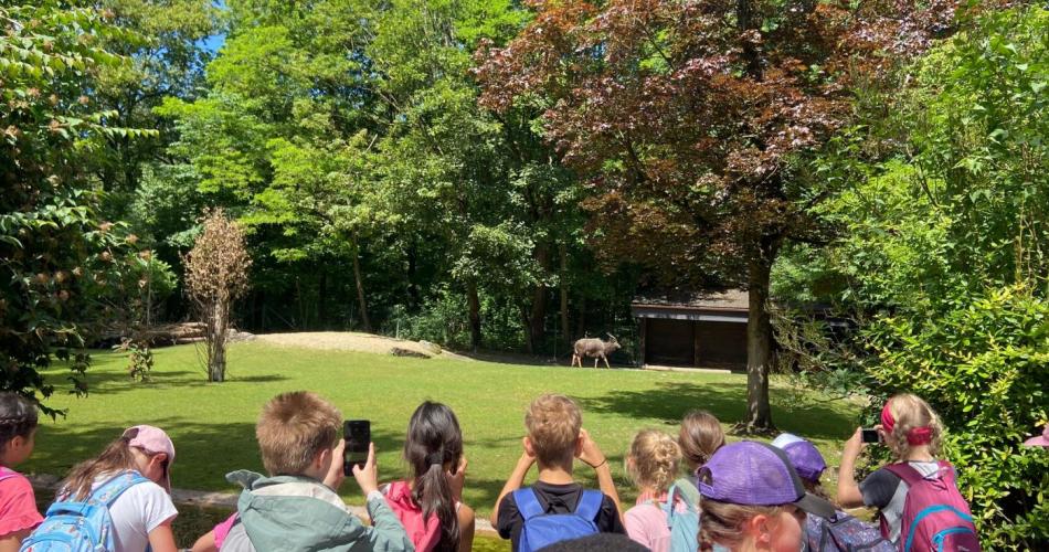 Zoo Hellabrunn